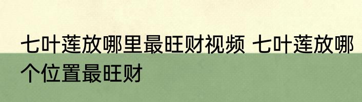 七叶莲放哪里最旺财视频 七叶莲放哪个位置最旺财