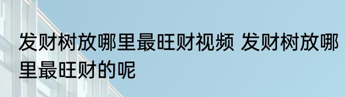 发财树放哪里最旺财视频 发财树放哪里最旺财的呢