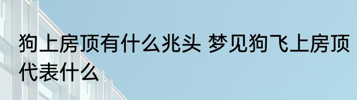 狗上房顶有什么兆头 梦见狗飞上房顶代表什么