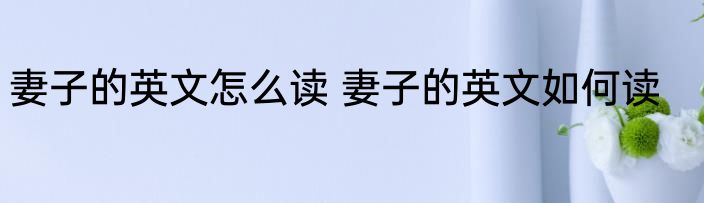 妻子的英文怎么读 妻子的英文如何读