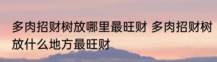 多肉招财树放哪里最旺财 多肉招财树放什么地方最旺财
