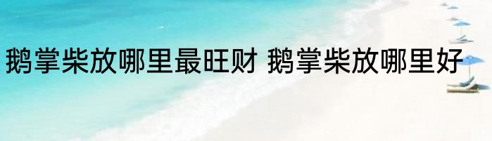 鹅掌柴放哪里最旺财 鹅掌柴放哪里好