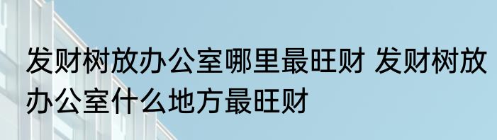 发财树放办公室哪里最旺财 发财树放办公室什么地方最旺财