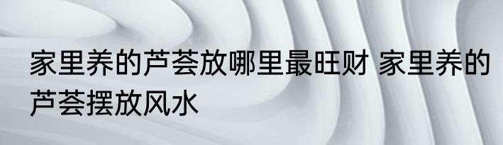 家里养的芦荟放哪里最旺财 家里养的芦荟摆放风水