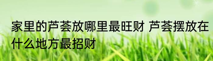 家里的芦荟放哪里最旺财 芦荟摆放在什么地方最招财