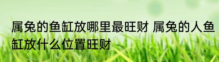 属兔的鱼缸放哪里最旺财 属兔的人鱼缸放什么位置旺财