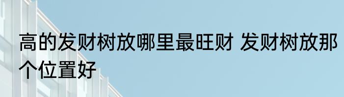 高的发财树放哪里最旺财 发财树放那个位置好