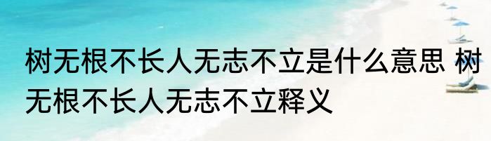 树无根不长人无志不立是什么意思 树无根不长人无志不立释义