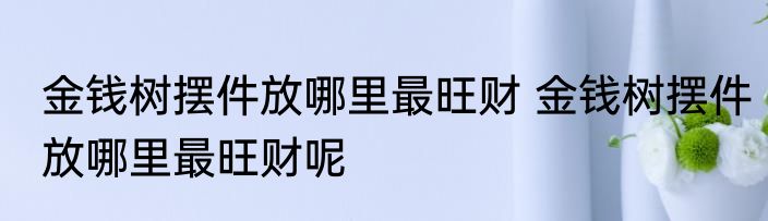 金钱树摆件放哪里最旺财 金钱树摆件放哪里最旺财呢