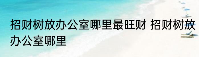 招财树放办公室哪里最旺财 招财树放办公室哪里