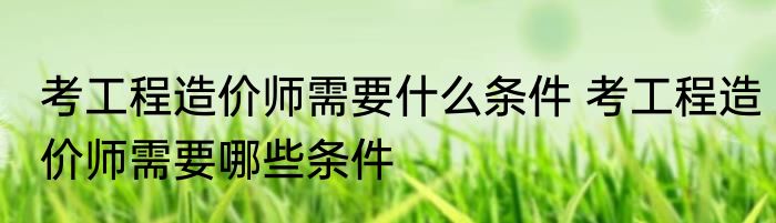 考工程造价师需要什么条件 考工程造价师需要哪些条件