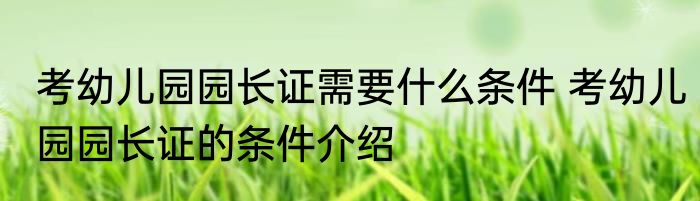 考幼儿园园长证需要什么条件 考幼儿园园长证的条件介绍