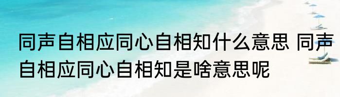 同声自相应同心自相知什么意思 同声自相应同心自相知是啥意思呢
