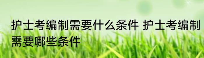 护士考编制需要什么条件 护士考编制需要哪些条件