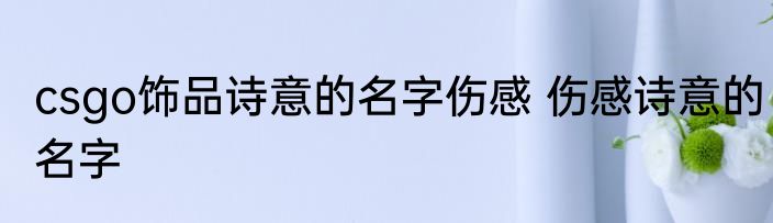 csgo饰品诗意的名字伤感 伤感诗意的名字