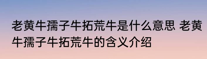 老黄牛孺子牛拓荒牛是什么意思 老黄牛孺子牛拓荒牛的含义介绍