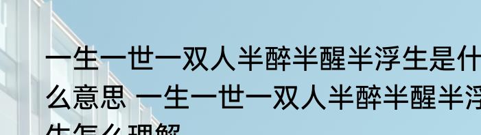 一生一世一双人半醉半醒半浮生是什么意思 一生一世一双人半醉半醒半浮生怎么理解