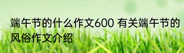 端午节的什么作文600 有关端午节的风俗作文介绍