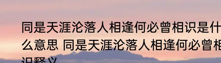 同是天涯沦落人相逢何必曾相识是什么意思 同是天涯沦落人相逢何必曾相识释义