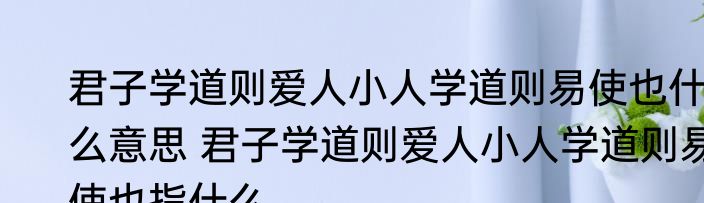君子学道则爱人小人学道则易使也什么意思 君子学道则爱人小人学道则易使也指什么