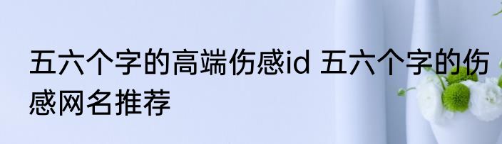 五六个字的高端伤感id 五六个字的伤感网名推荐