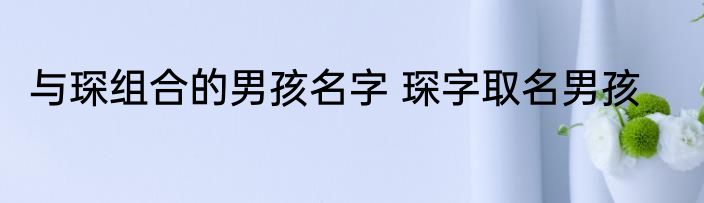 与琛组合的男孩名字 琛字取名男孩