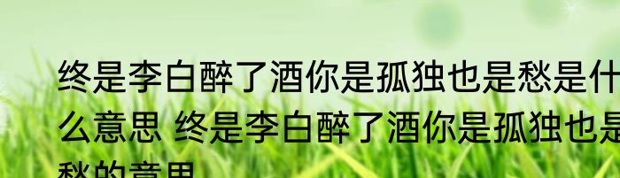 终是李白醉了酒你是孤独也是愁是什么意思 终是李白醉了酒你是孤独也是愁的意思