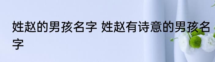 姓赵的男孩名字 姓赵有诗意的男孩名字