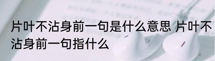 片叶不沾身前一句是什么意思 片叶不沾身前一句指什么