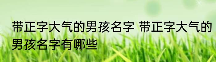 带正字大气的男孩名字 带正字大气的男孩名字有哪些