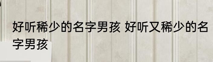 好听稀少的名字男孩 好听又稀少的名字男孩