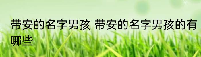 带安的名字男孩 带安的名字男孩的有哪些