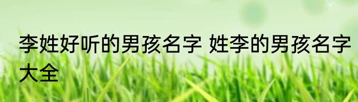 李姓好听的男孩名字 姓李的男孩名字大全