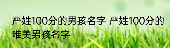 严姓100分的男孩名字 严姓100分的唯美男孩名字