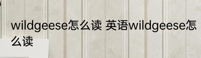 wildgeese怎么读 英语wildgeese怎么读