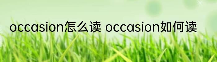 occasion怎么读 occasion如何读