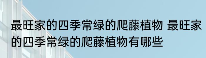 最旺家的四季常绿的爬藤植物 最旺家的四季常绿的爬藤植物有哪些