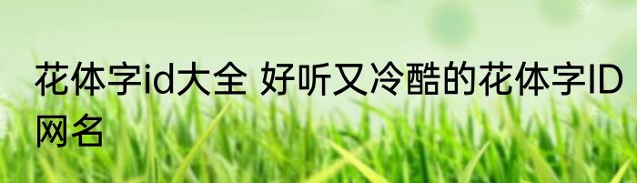 花体字id大全 好听又冷酷的花体字ID网名