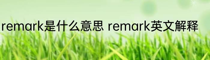 remark是什么意思 remark英文解释