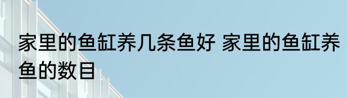 家里的鱼缸养几条鱼好 家里的鱼缸养鱼的数目
