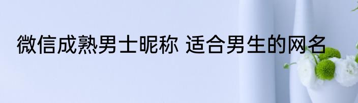 微信成熟男士昵称 适合男生的网名