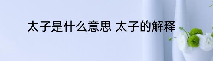 太子是什么意思 太子的解释
