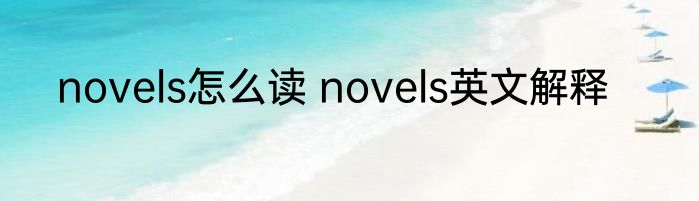 novels怎么读 novels英文解释