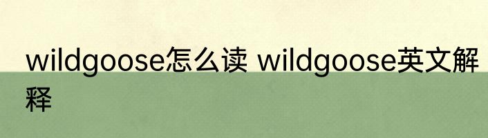wildgoose怎么读 wildgoose英文解释