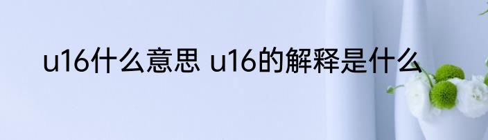 u16什么意思 u16的解释是什么