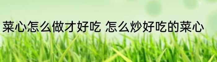 菜心怎么做才好吃 怎么炒好吃的菜心