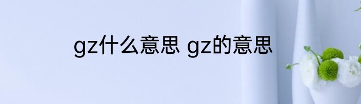 gz什么意思 gz的意思