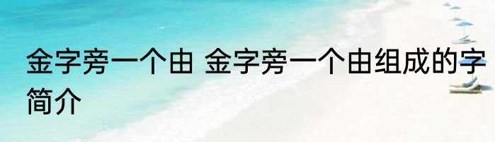 金字旁一个由 金字旁一个由组成的字简介