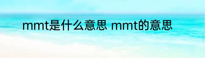 mmt是什么意思 mmt的意思