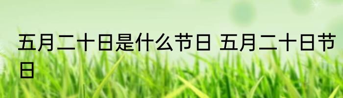 五月二十日是什么节日 五月二十日节日